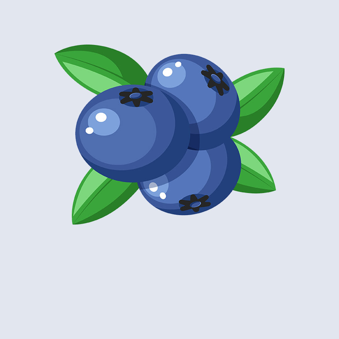 BLUEBERRY